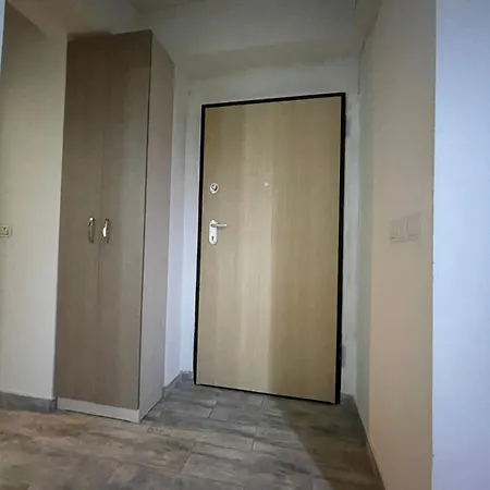 Golden Lux Apartment *